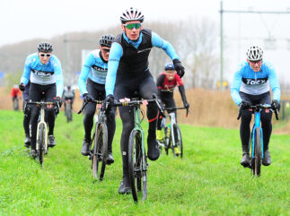 {{brizy_dc_image_alt entityId=