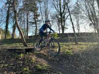 {{brizy_dc_image_alt entityId=