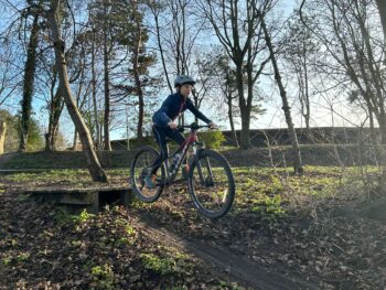 {{brizy_dc_image_alt entityId=