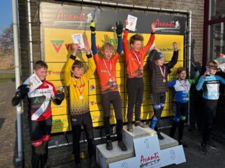 {{brizy_dc_image_alt entityId=